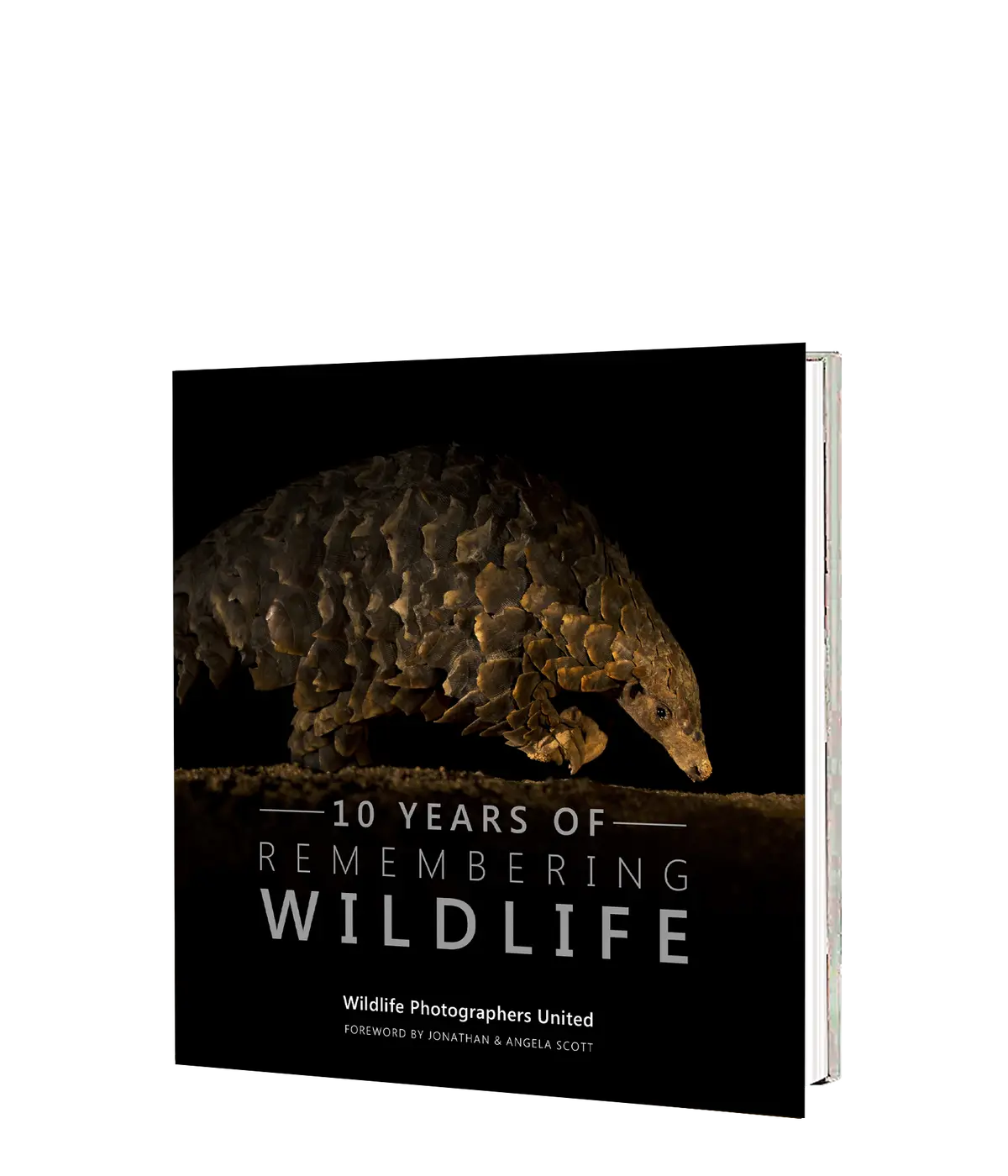 10 Years Of Remembering Wildlife 1