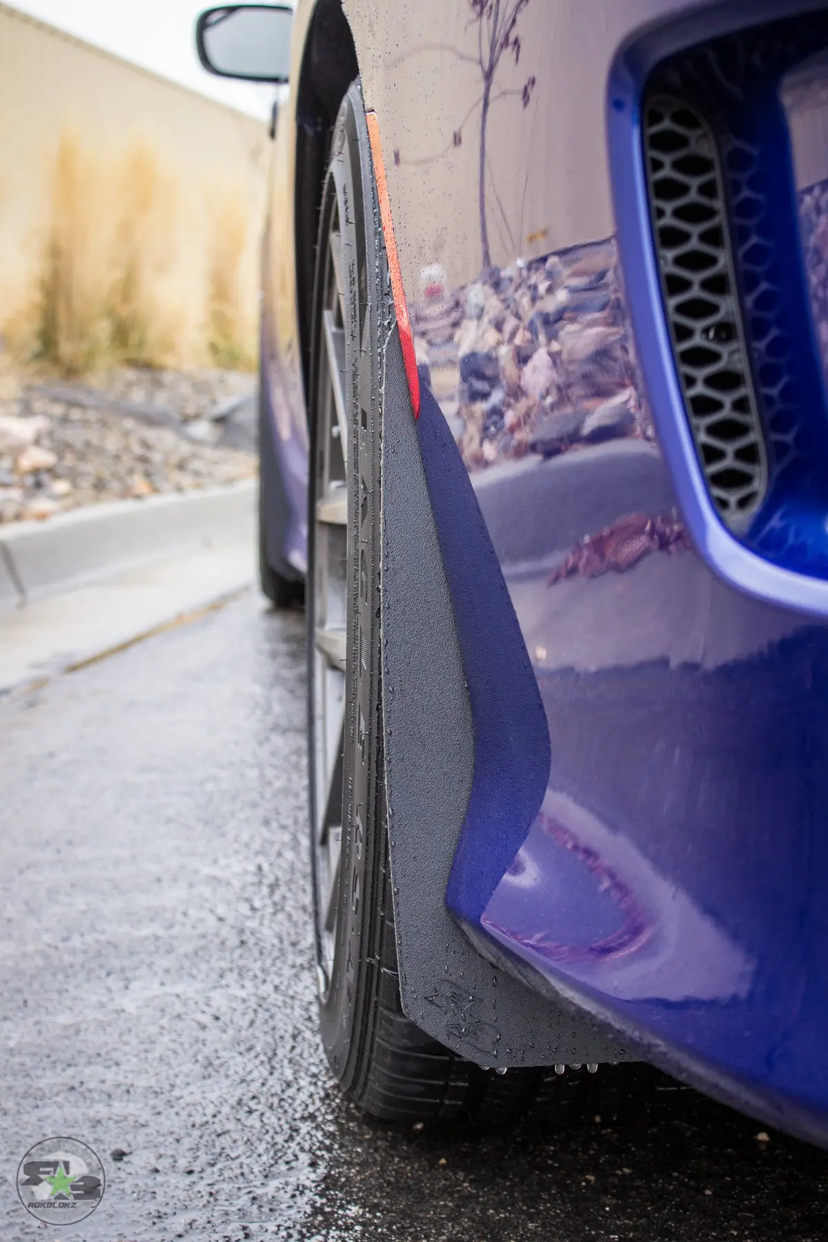 Dodge Charger(Ld) 2011-2020 Splash Guards 4