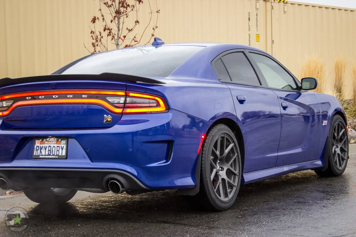 Dodge Charger(Ld) 2011-2020 Splash Guards 11