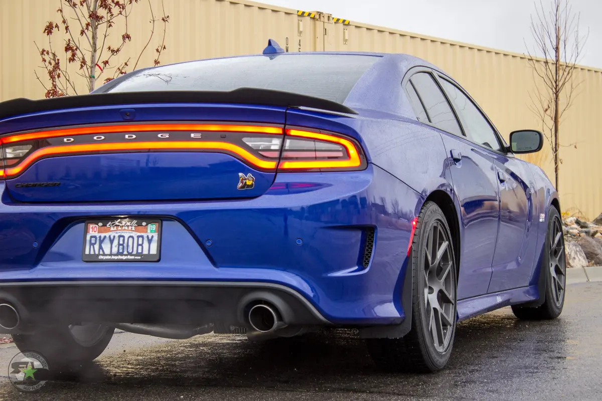 Dodge Charger(Ld) 2011-2020 Splash Guards 6