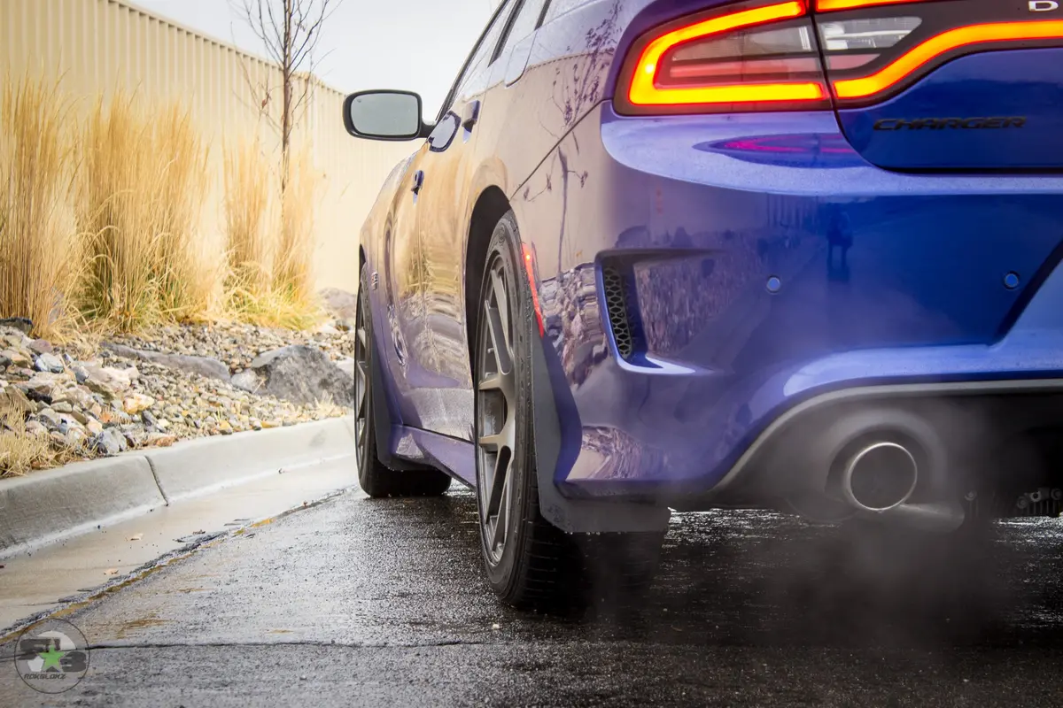 Dodge Charger(Ld) 2011-2020 Splash Guards 8