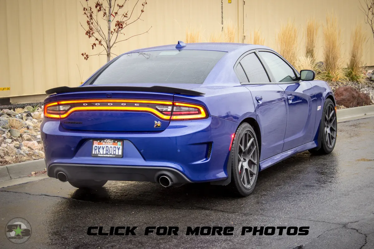 Dodge Charger(Ld) 2011-2020 Splash Guards 1