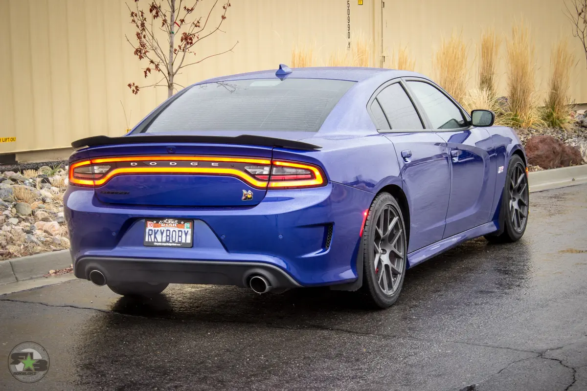 Dodge Charger(Ld) 2011-2020 Splash Guards 9