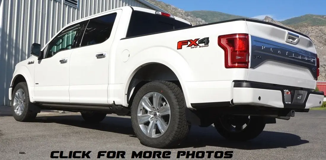 Ford F-150 2015-2020 Mud Flaps 1