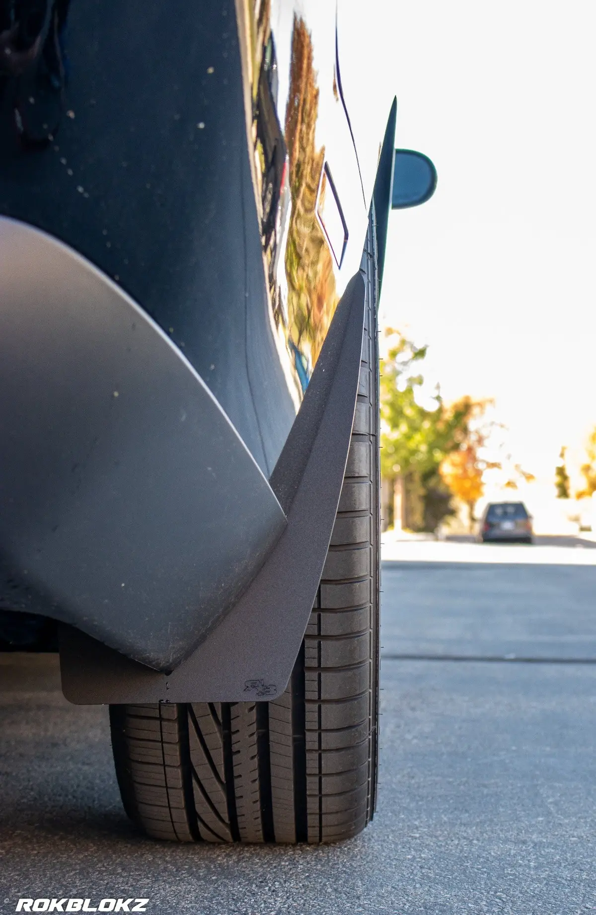Dodge Challenger 2015-2023 Splash Guards 7