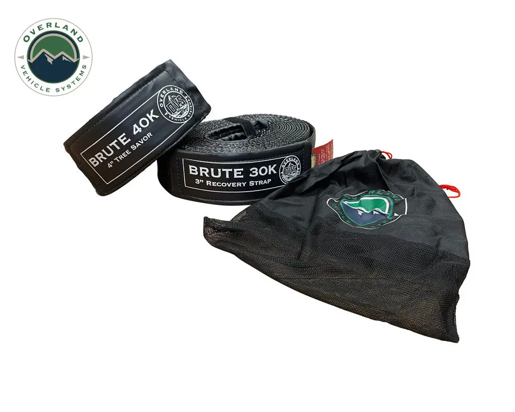 2 Pack - Tow Strap 30,000 & 40,000 Lb. 19-6979 1