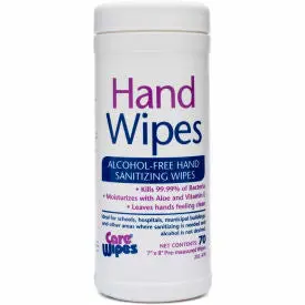 2Xl Carewipes Alcohol Free Hand Sanitizing Wipes, 70 Wipes/Can, 6 Cans/Case - 2Xl-470 1