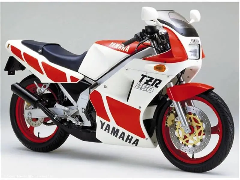 Yamaha Tzr250 1987 - 1991 Light Tint Original Profile Screen Powerbronze 1