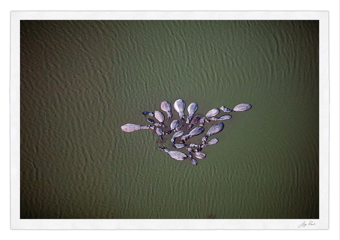 Okavango Dreams 1
