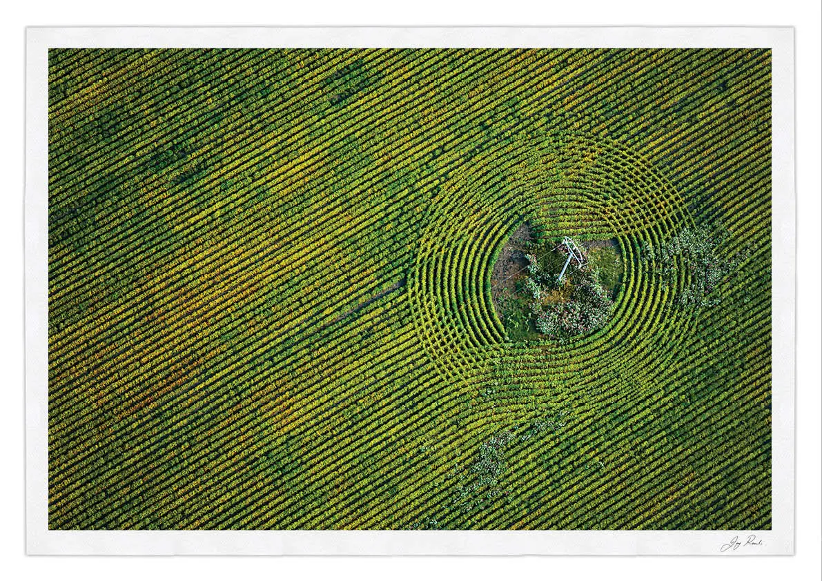 Mysteries In The Maize 1