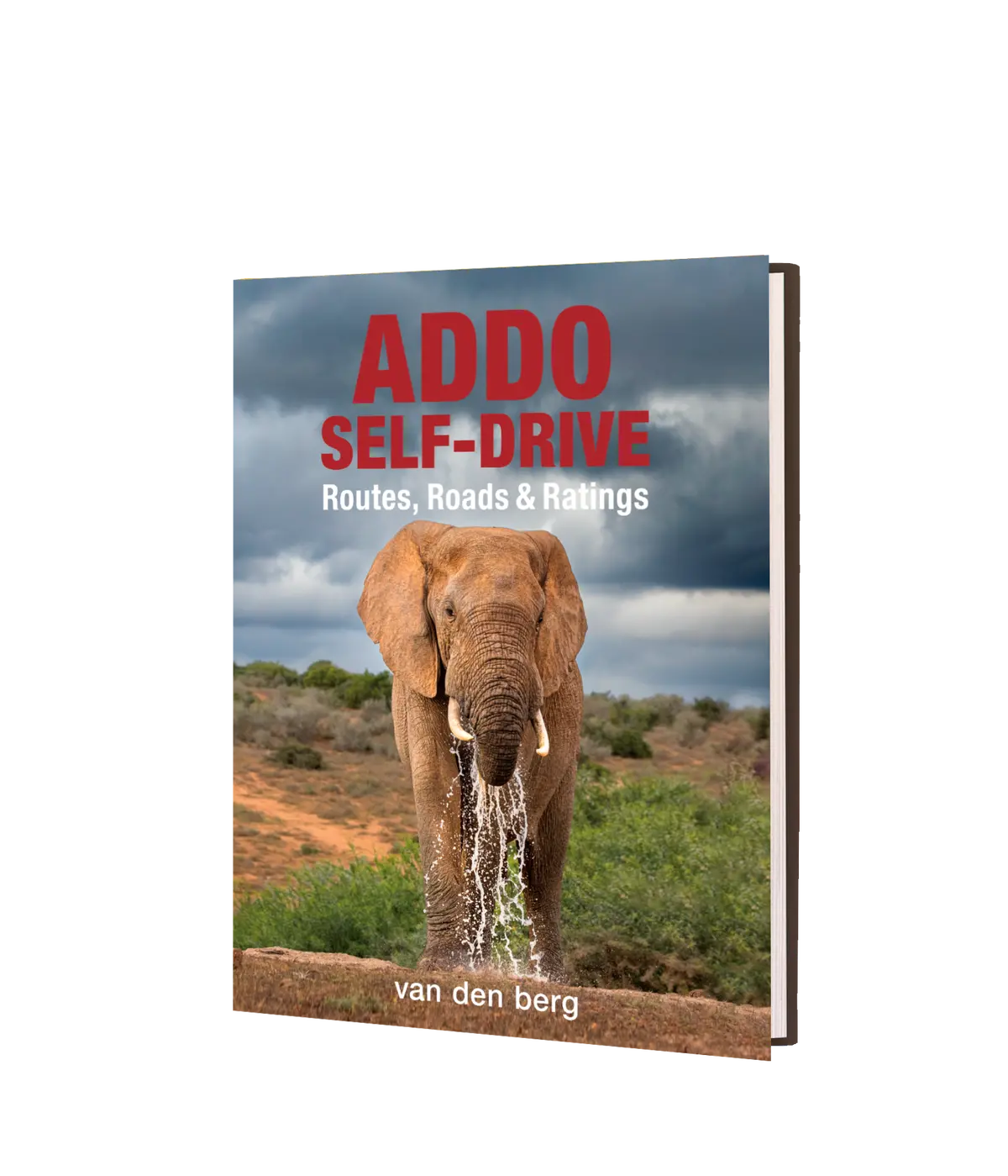 Addo Self-Drive – Routes, Roads And Ratings 1