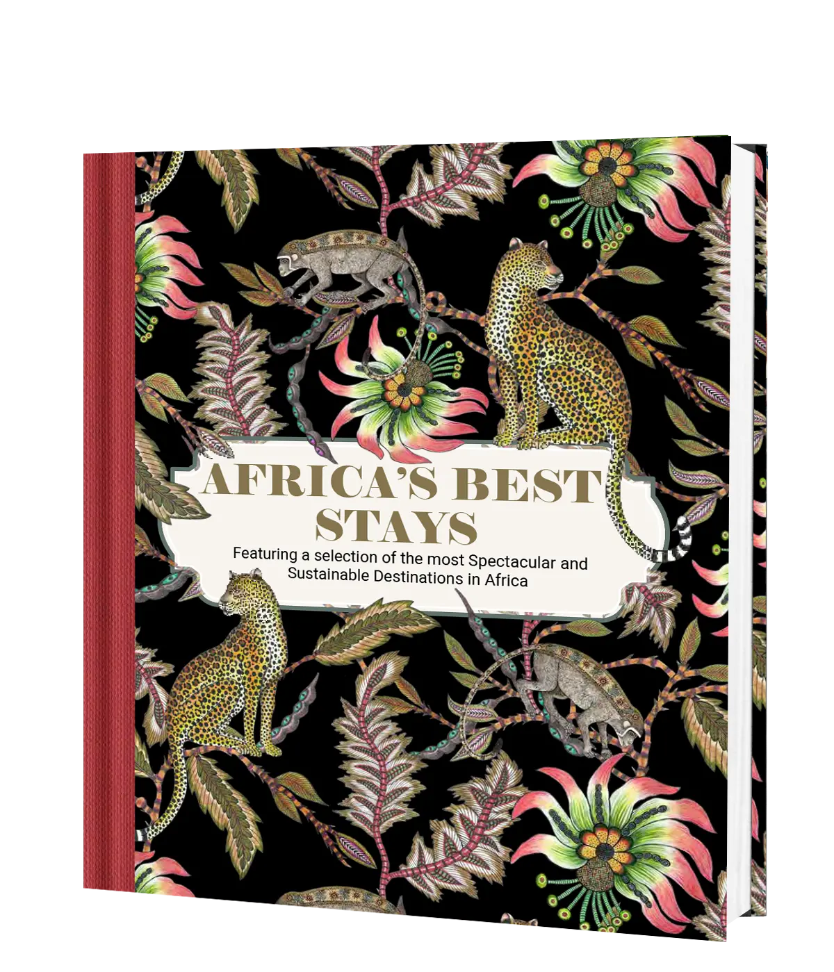 Africa’S Best Stays 1