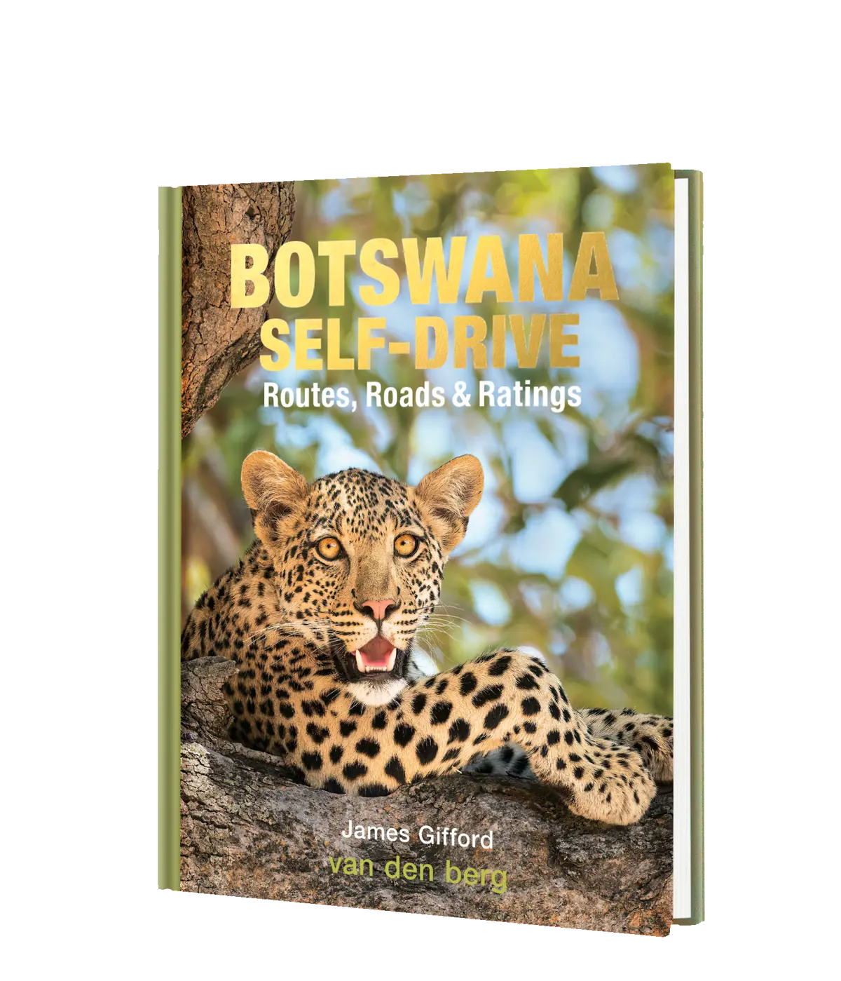 Botswana Self-Drive 1