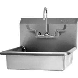 Sani-Lav® 5A4f-0.5 Wall Mount Sink With Low-Flow Faucet 1