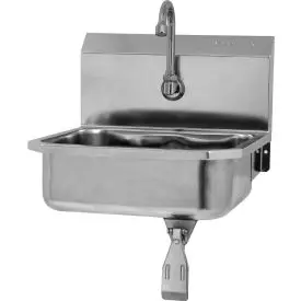 Sani-Lav® 605L-0.5 Wall Mount Sink With Single Knee Pedal Valve, Low-Flow 0.5 Gpm 1