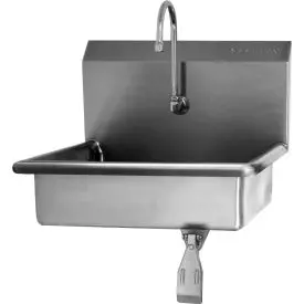 Sani-Lav® 6081-0.5 Wall Mount Sink With Single Knee Pedal Valve, Low-Flow 0.5 Gpm 1