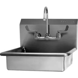 Sani-Lav® 608F Wall Mount Sink With Faucet 1