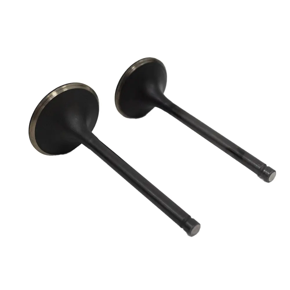 Duromax Replacement Generator Valves Set - Dmxp-15-006-Vas 1