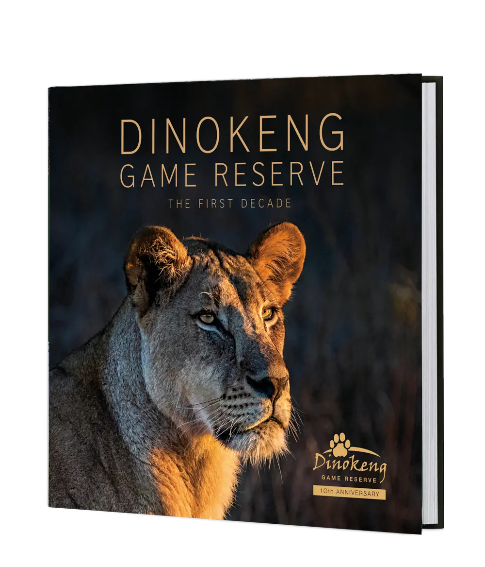 Dinokeng Game Reserve – The First Decade 1