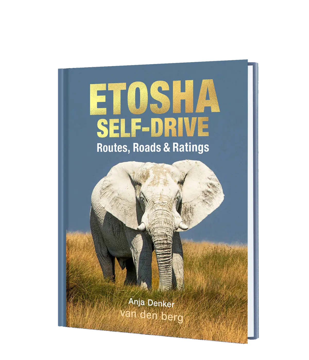 Etosha Self-Drive – Routes, Roads And Ratings 1