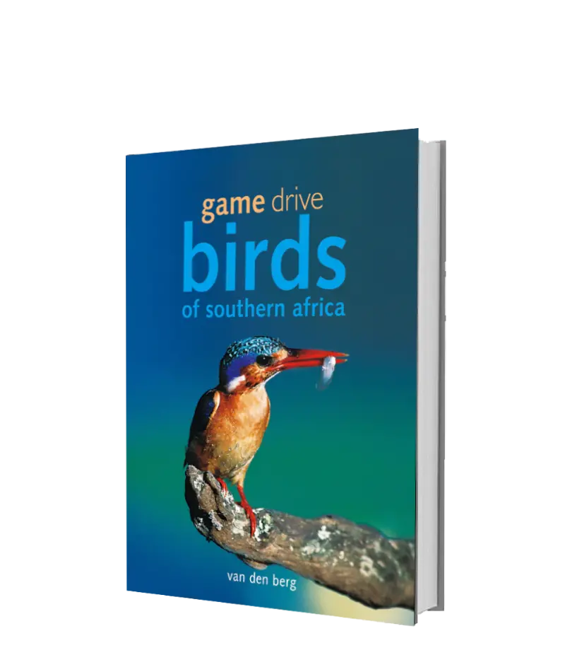 Game Drive Birds 1