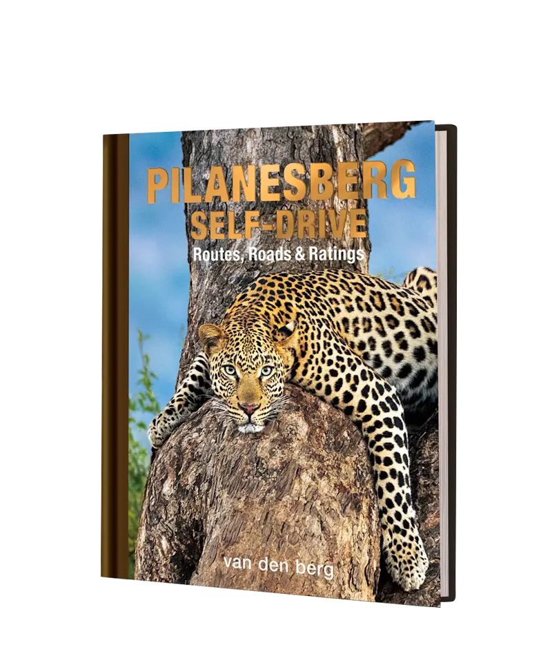 Pilanesberg Self-Drive 1