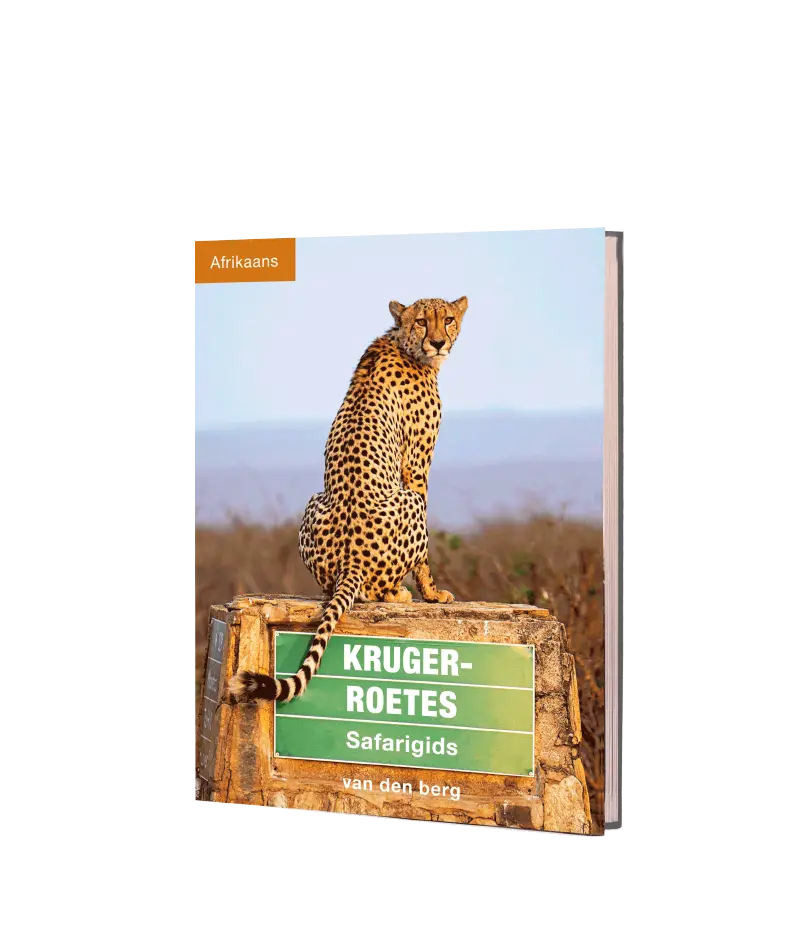 Kruger Roetes – Afrikaans 1