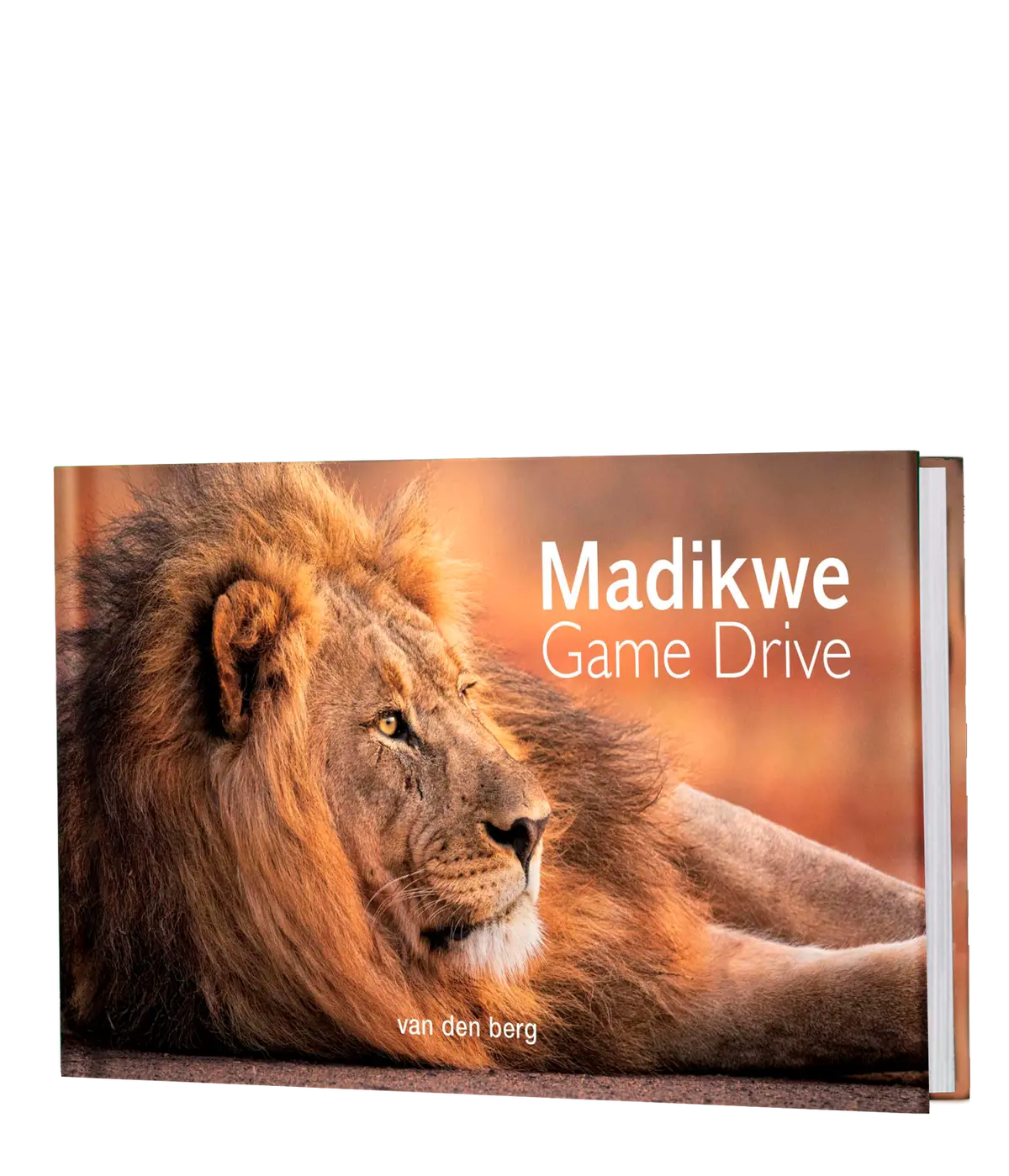 Madikwe Game Drive 1