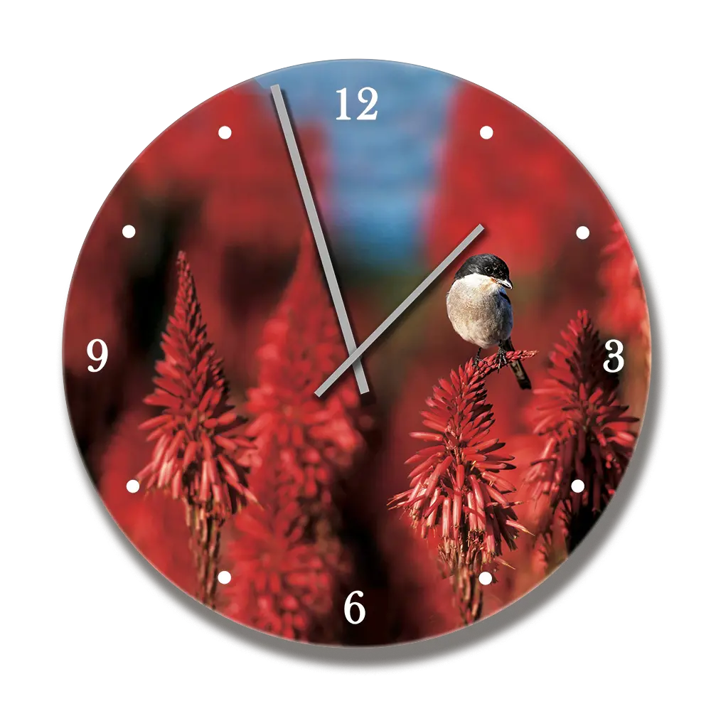 Printwild Clock With Shrike 1