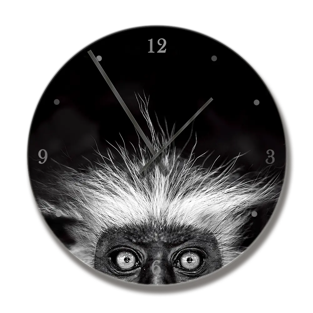 Printwild Clock With Shades Monkey 1