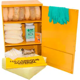 Wall Mount Spill Containment Cabinet, X-Large, 24"W X 12"D X 35"H, Aggressive 1