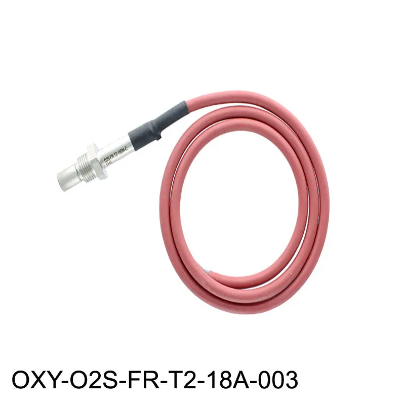 Zirconia Oxygen Sensor System 2