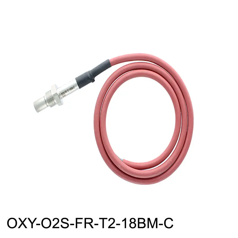 Zirconia Oxygen Sensor System 1
