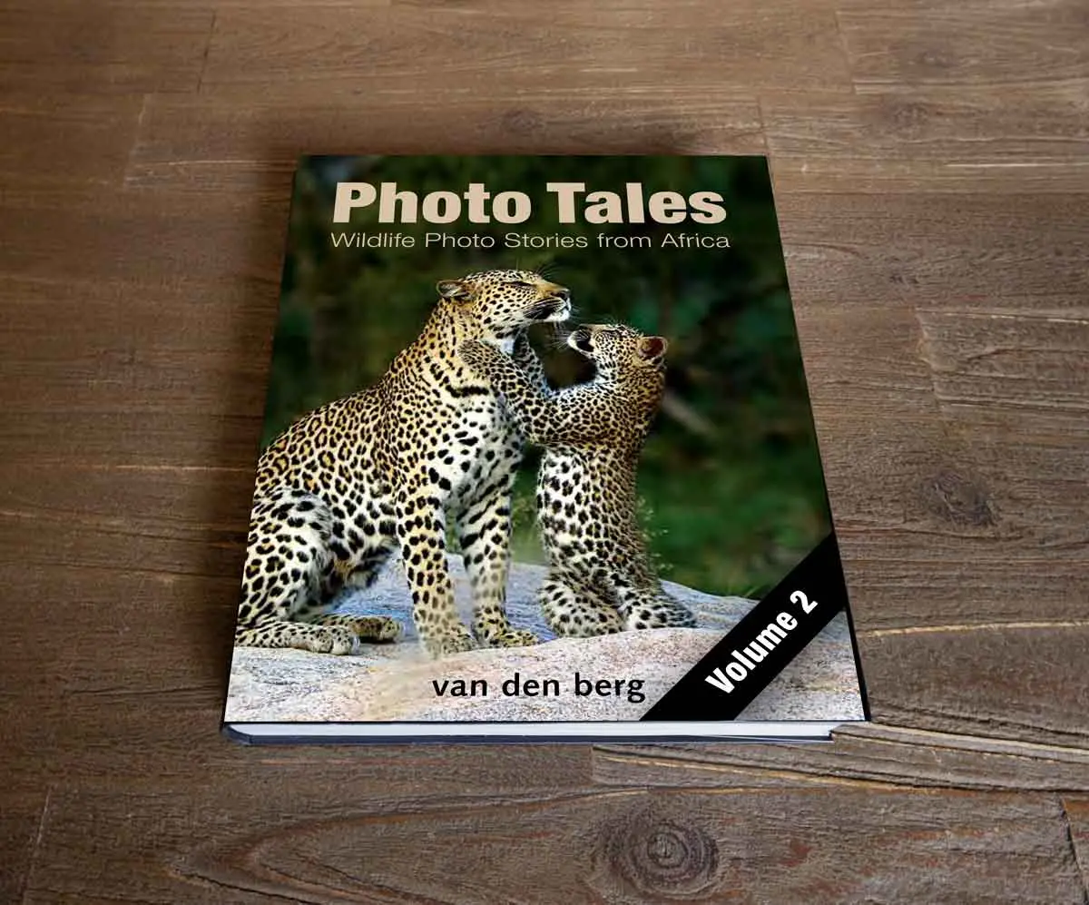 Photo Tales - Volume 2 2