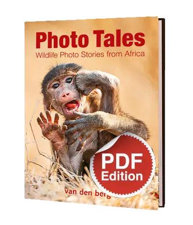 Photo Tales Pdf 1