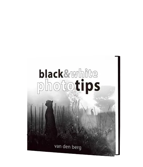 Photo Tips: Black & White 1