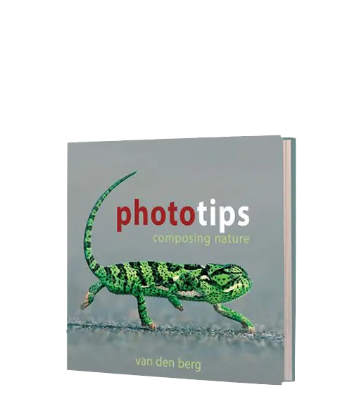 Photo Tips: Composing Nature 1
