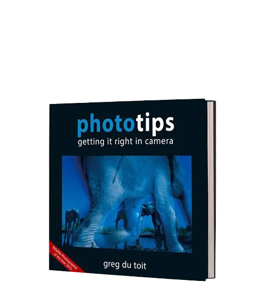 Phototips: Getting It Right In Camera 1