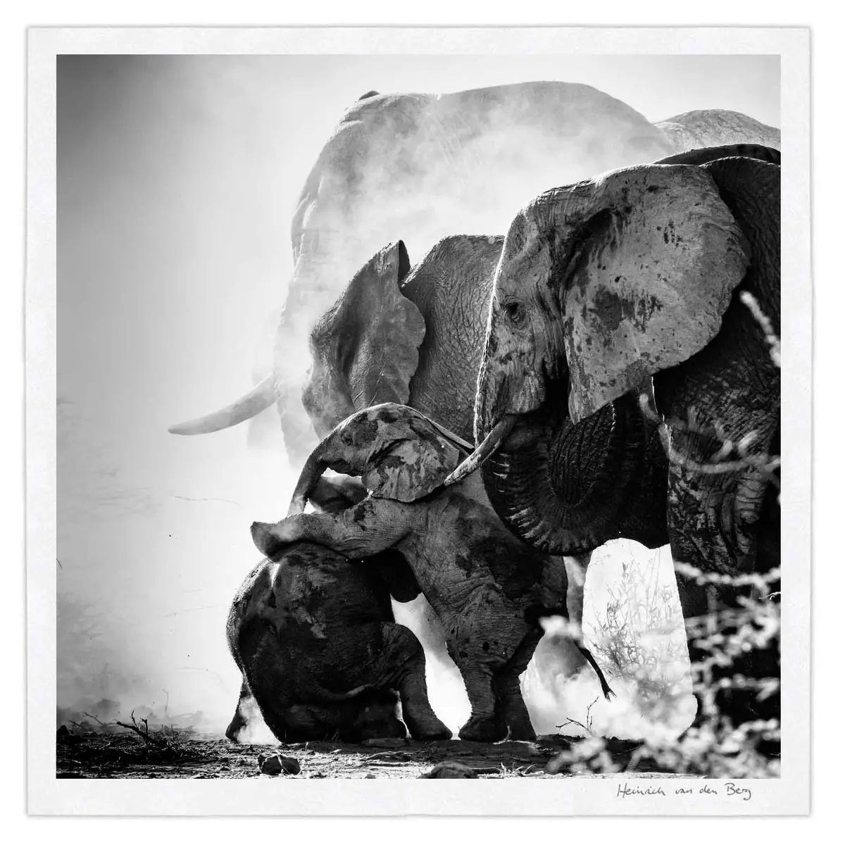 Elephant Ghost 2 1