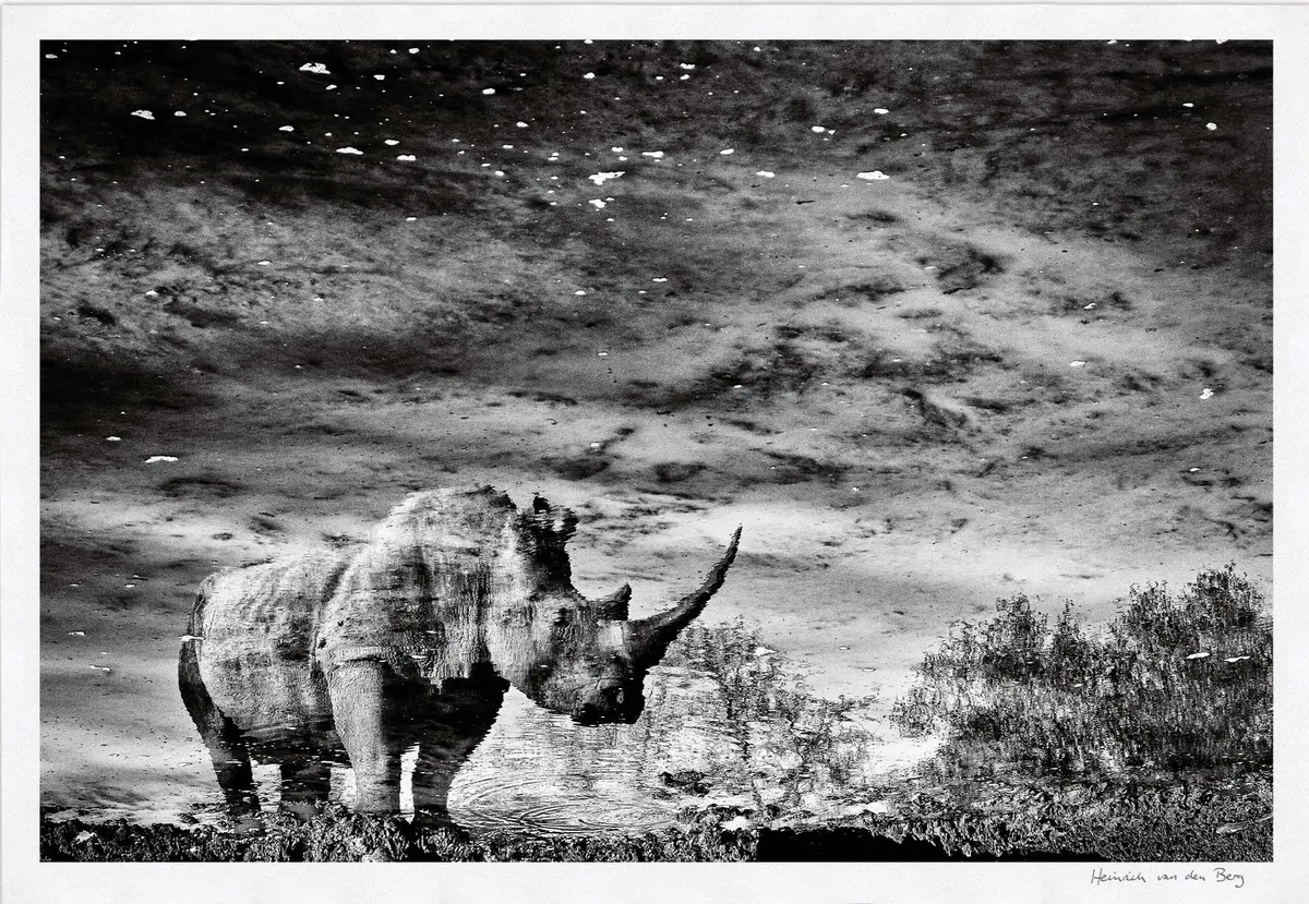 Rhino Unicorn Fine Art Print 1
