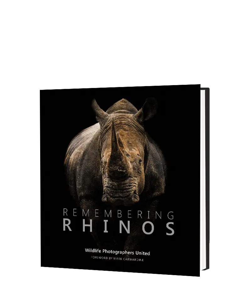 Remembering Rhinos 1