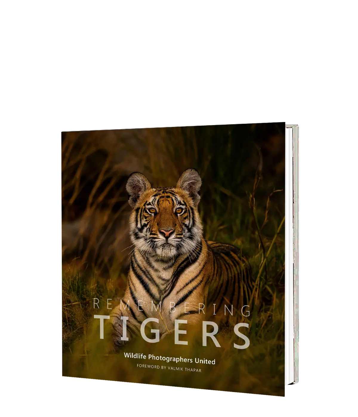 Remembering Tigers 1