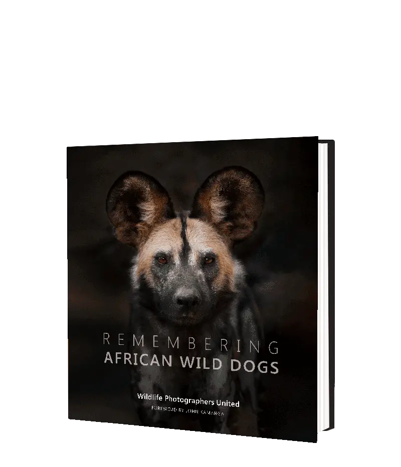 Remembering African Wild Dogs 1