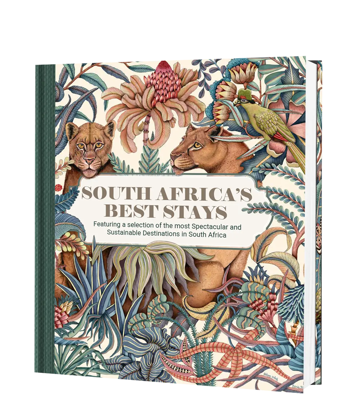 South Africa’S Best Stays 1