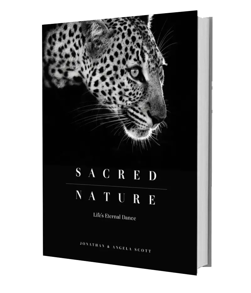 Sacred Nature: Life’S Eternal Dance 1