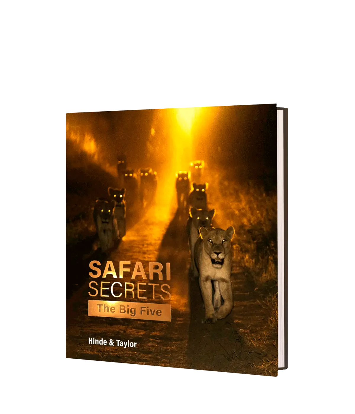 Safari Secrets – The Big Five 1