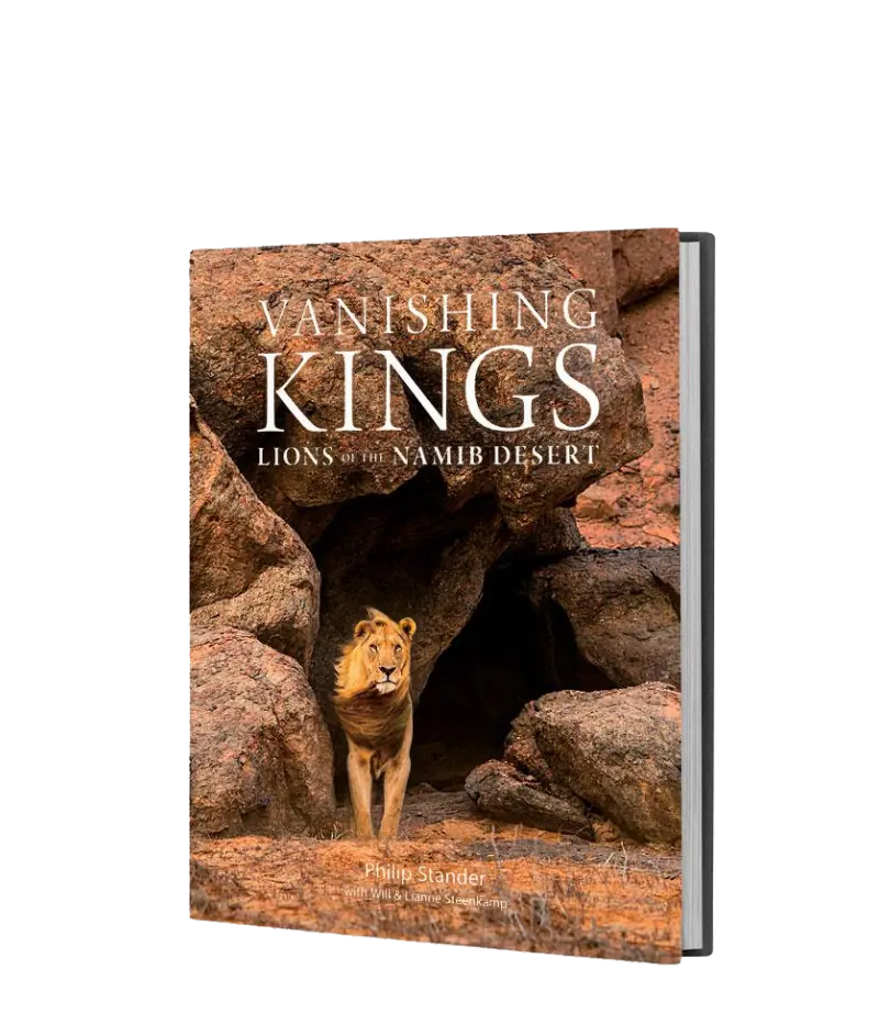 Vanishing Kings - Standard Edition 1