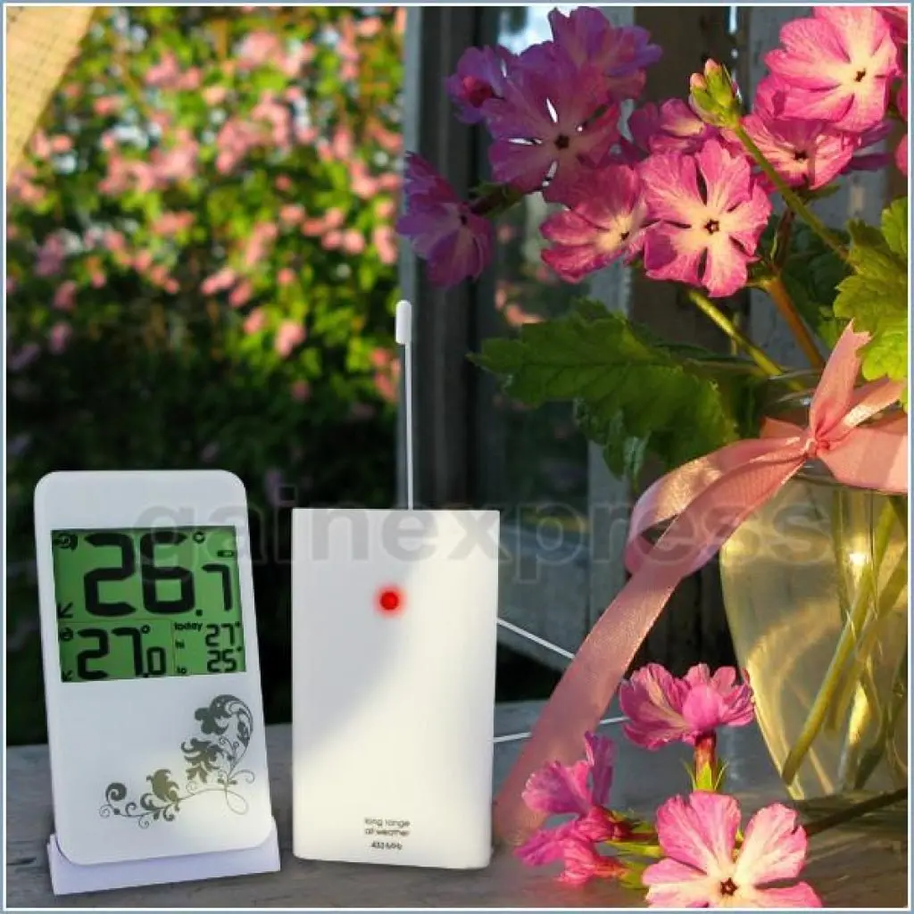 R01aok-2819 Wireless 30M Indoor Outdoor Thermometer+Snow Alert Alarm 2