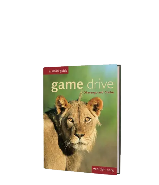 Game Drive Botswana 1