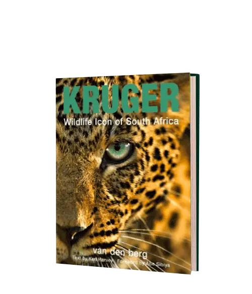 Kruger, Wildlife Icon Of South Africa 1